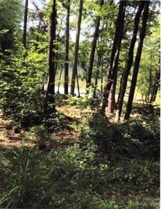 Lot 160 & 166 Broadwater Drive