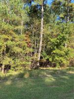 107 Rivercliff Drive E