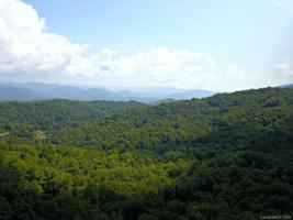 0 Mountain Forest