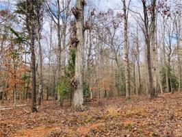 321 Balsam Circle
