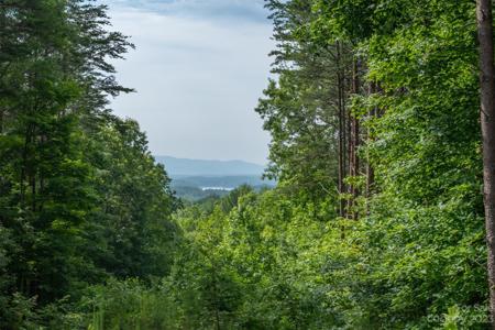 9144 Yellow Pine Road