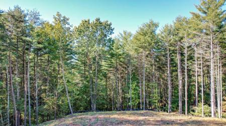 36 Pine Ridge Drive