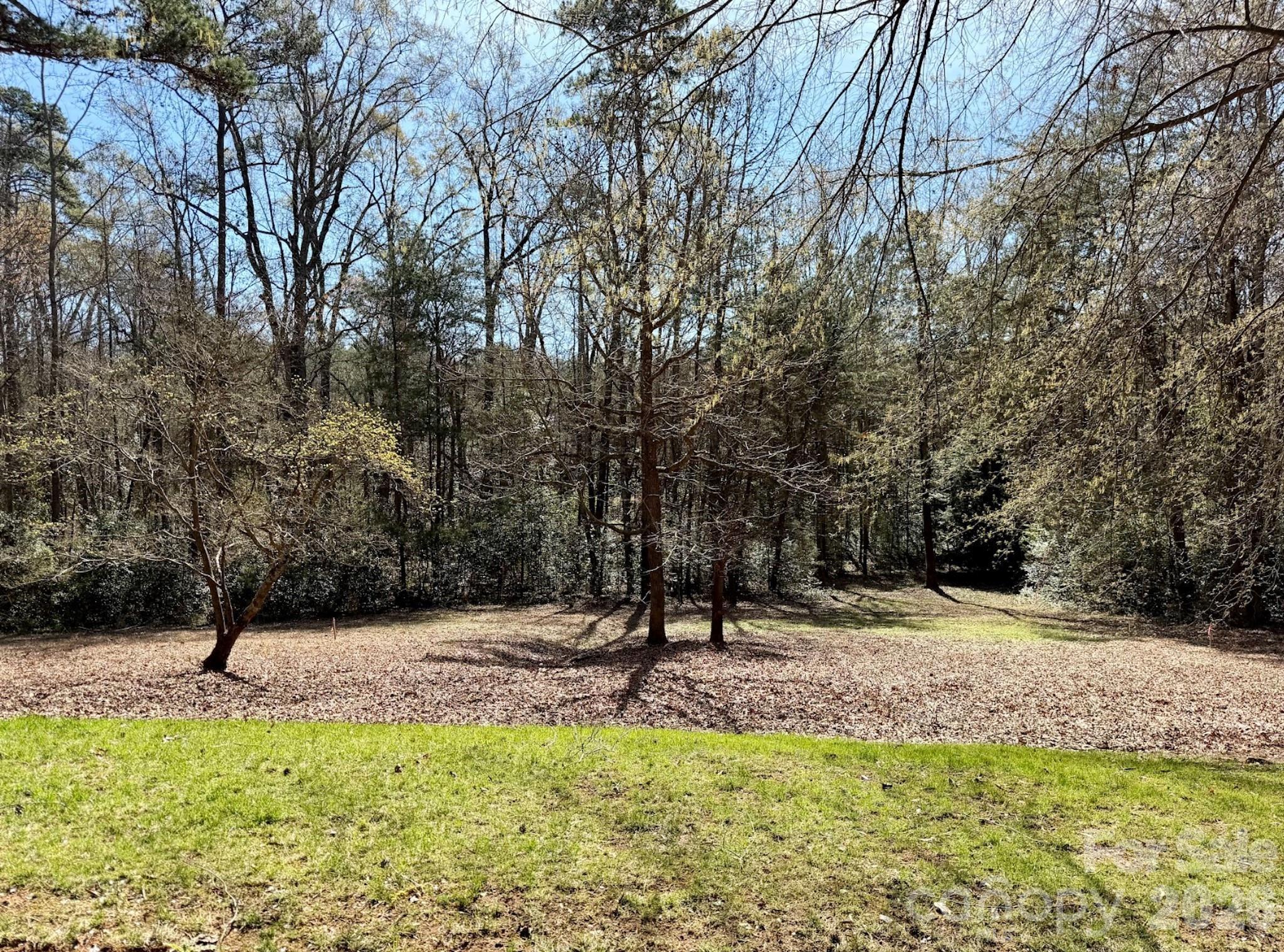 Image 2 Image 2