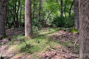 Lot #12A Lurewoods Manor