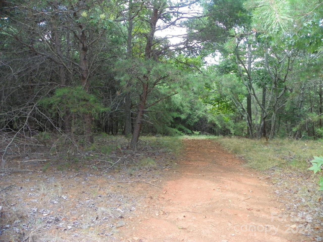 Image 3 Image 3