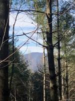 57 Broadleaf Trail