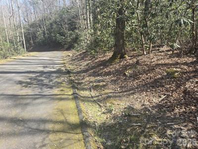 Lot 97 Mockingbird Lane
