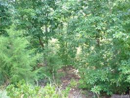 00 Horse Creek Road