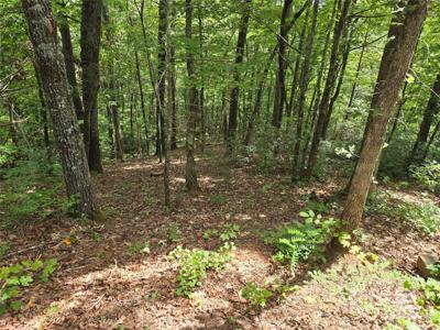 Lot 167 & 170 Deerfield Drive