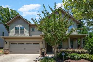 15536 Oleander