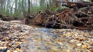 28.61 acre tract on Deal Road