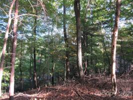 Lot 119 Wilderness