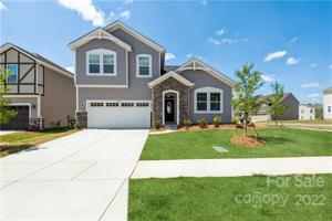 17104 Carolina Pine