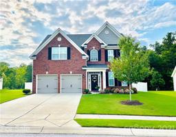 1131 Jack Pine