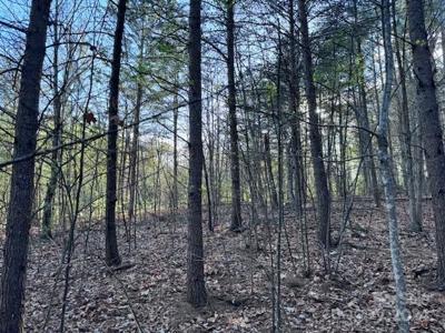 TBD High Trail Drive