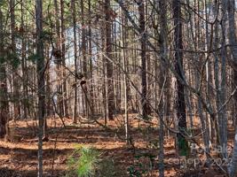 129 Water Oak