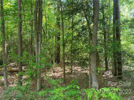5642 Lake View