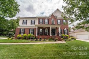 11634 Red Falcon