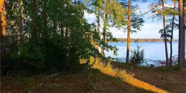 550 Lake Head Road
