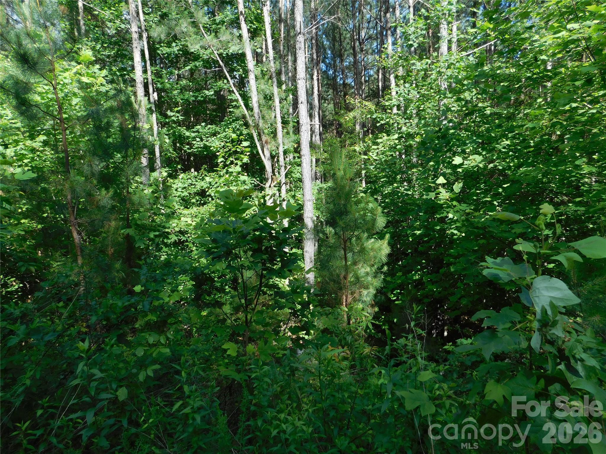 Image 3 Image 3