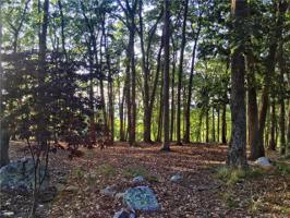 145 Sirocco Drive