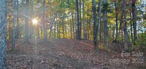lot 7 Catawba Cove