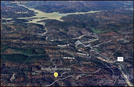 000 Birddog Boulevard