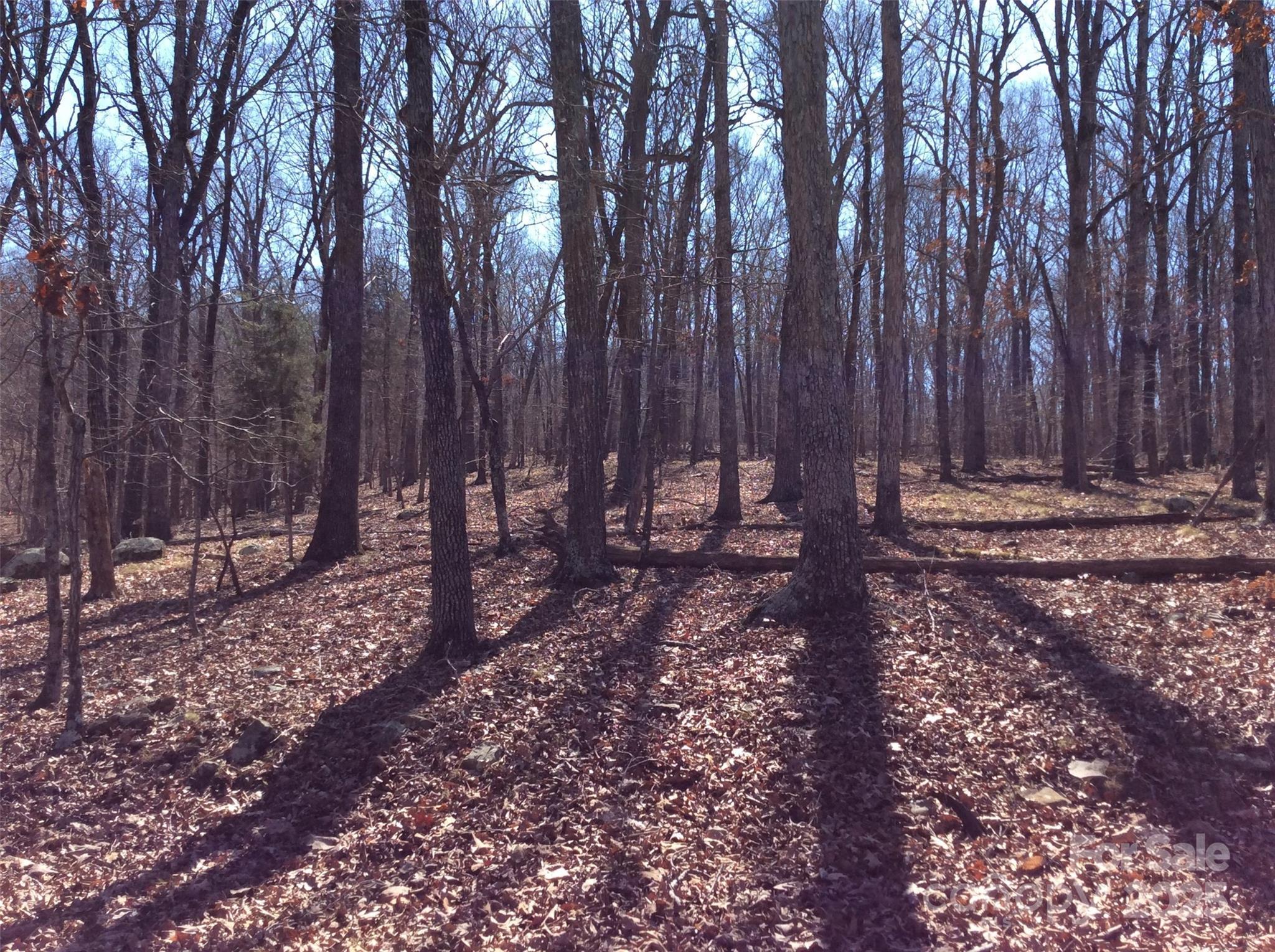 Image 3 Image 3