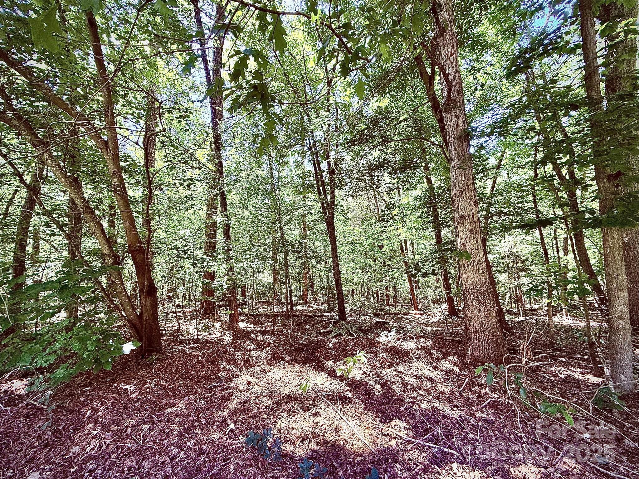 Image 4 Image 4