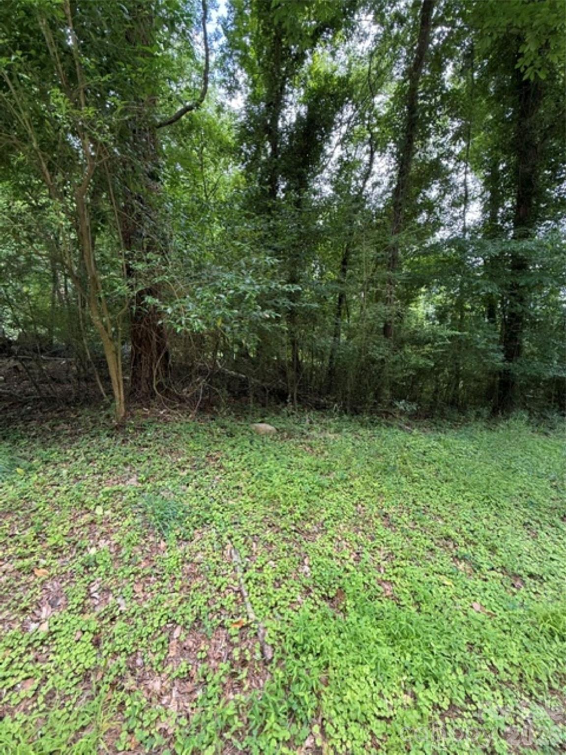 Image 1 Image 1