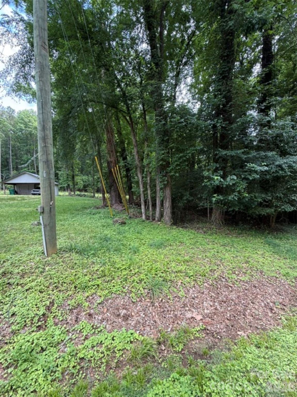 Image 4 Image 4
