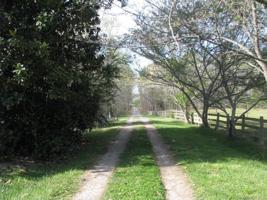 560 Akinbac Road