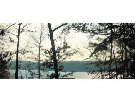 Lot 61 232, Lot 61 Water Oak Way 
