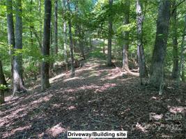 TBD Hawks Nest Trail