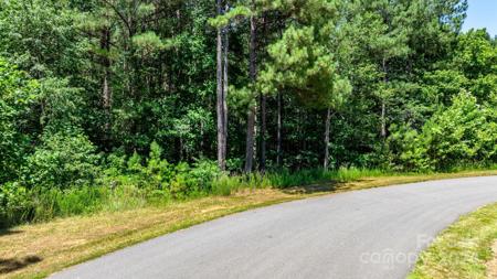 V/L Catawba Cove Drive