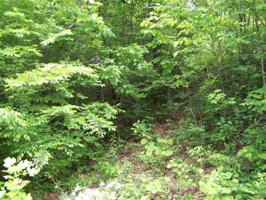 Lot 93 Denman Drive
