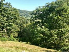 Lot 16 Deer Trail