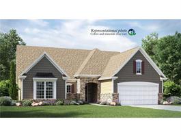 16422 Fallview