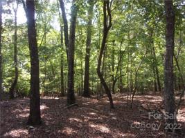 334 Balsam