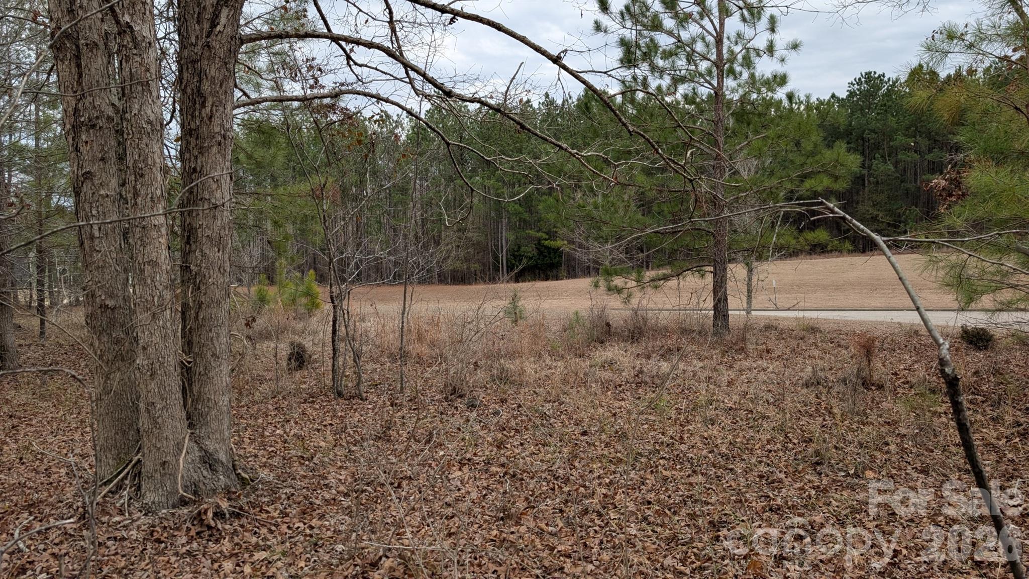 Image 3 Image 3