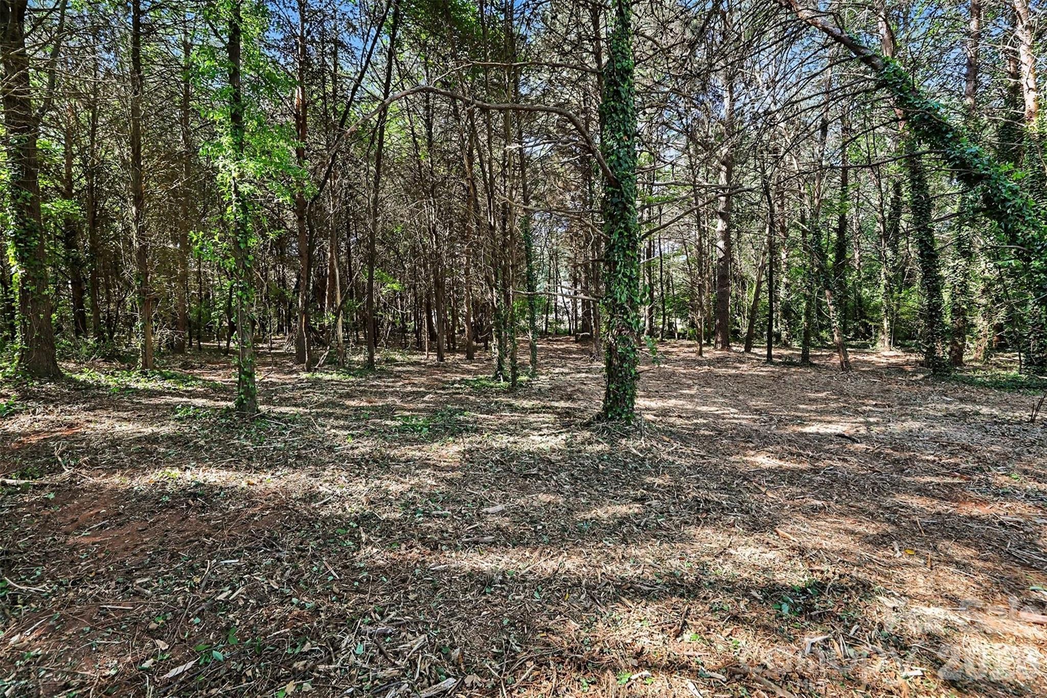Image 4 Image 4