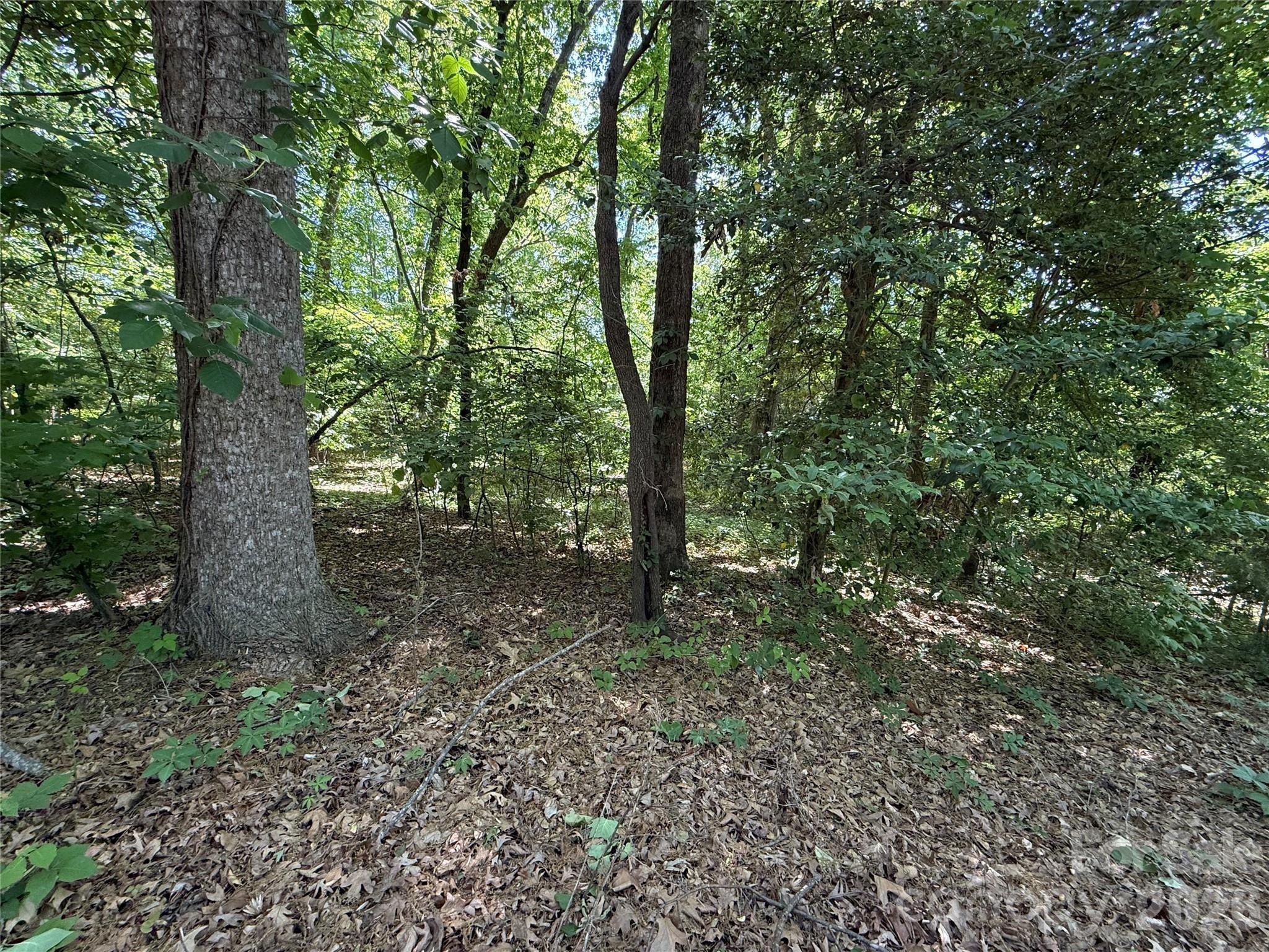 Image 3 Image 3
