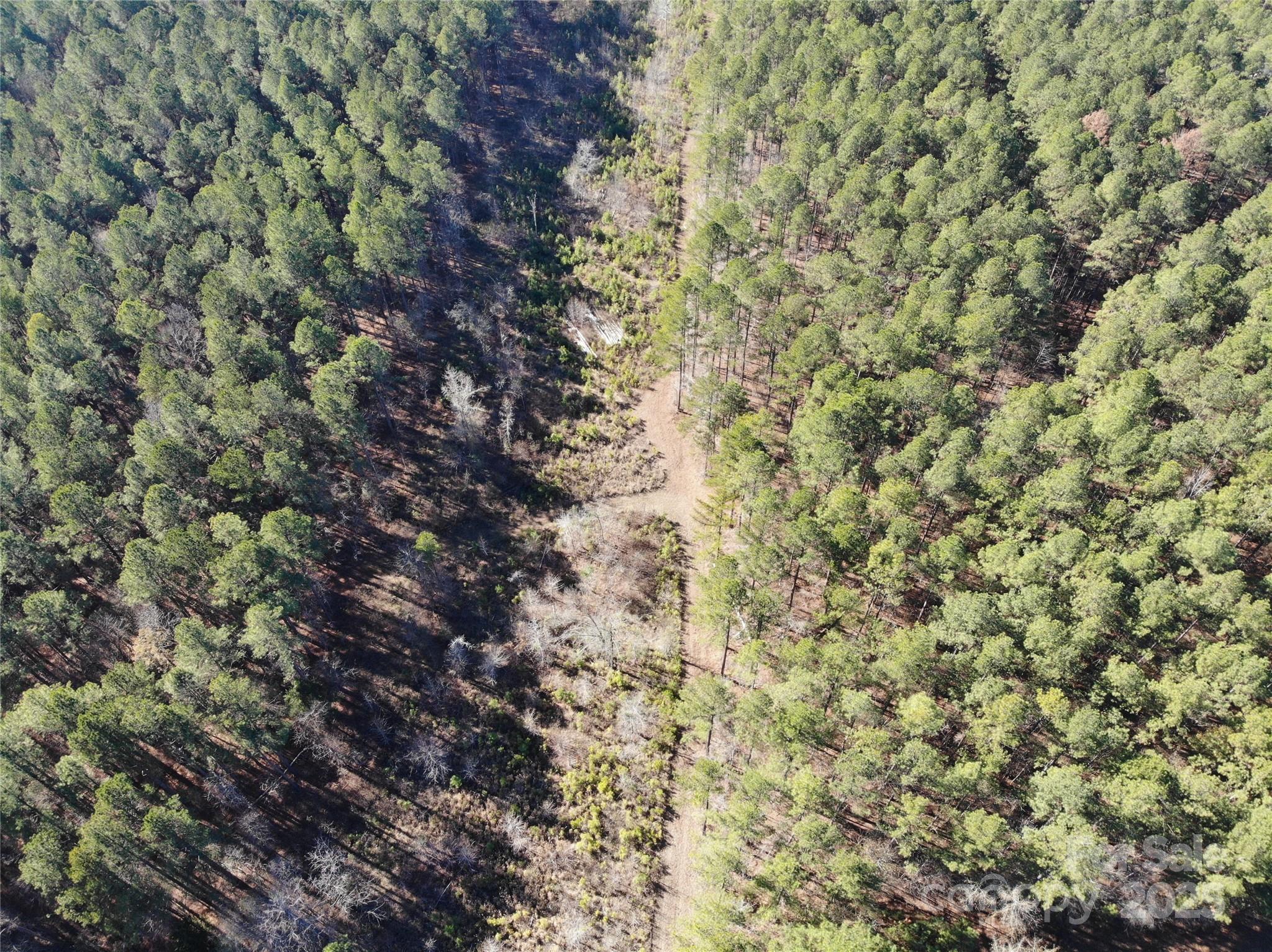 Image 3 Image 3