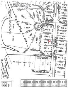 499 Carolina Drive