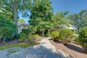 1394 Butter Street