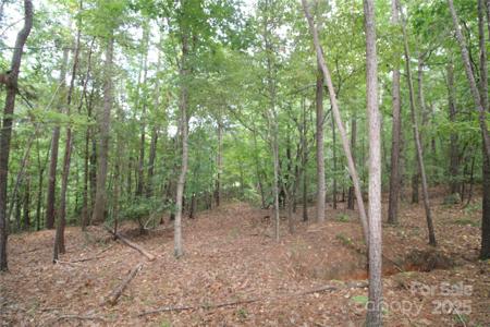 Lot 3 Lake Wylie Drive