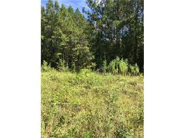 Lot 3 & 11 Lot #3 & 11 Catawba River Road 