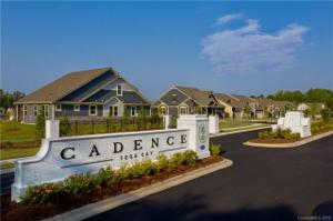 817 Cadence Park Place
