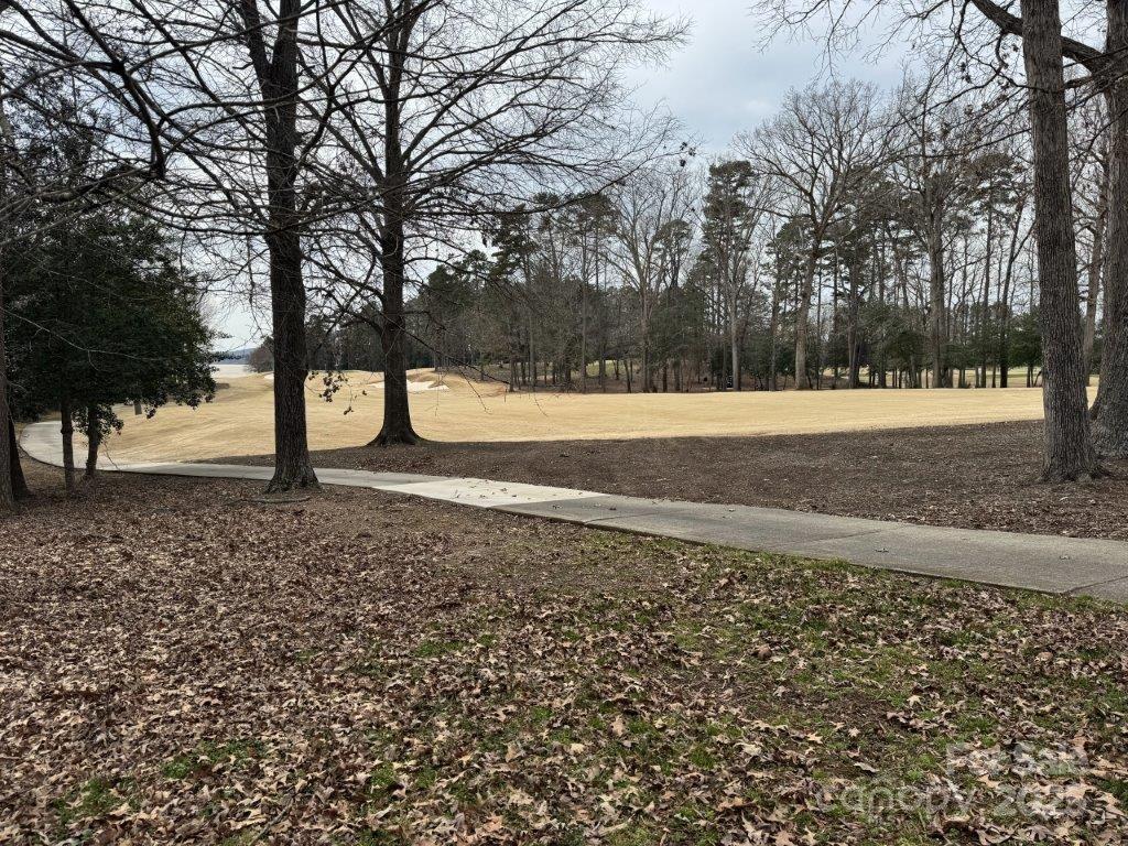 Image 4 Image 4