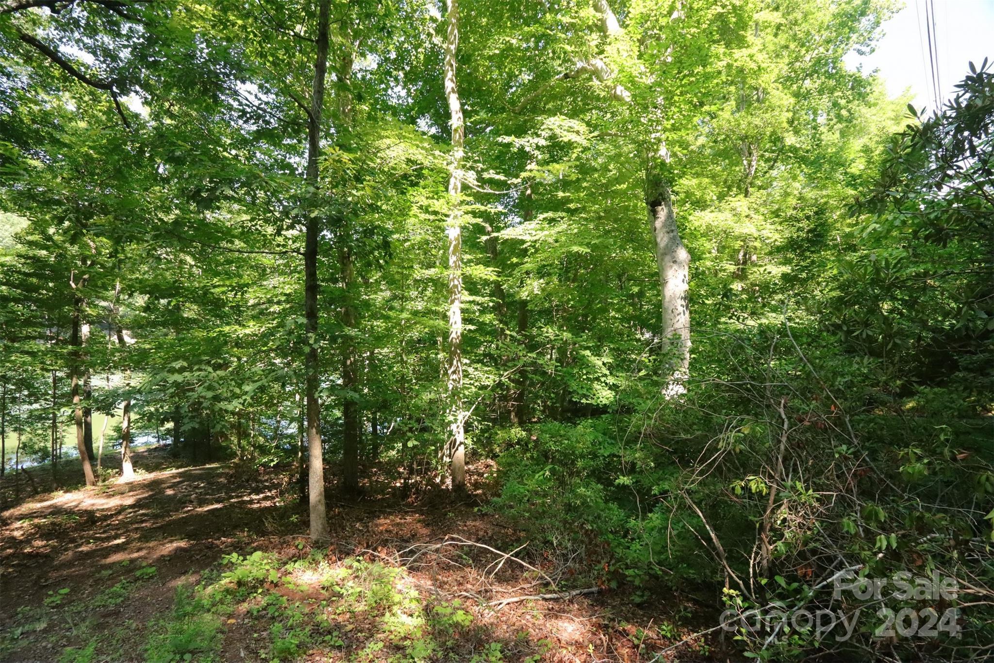Image 4 Image 4